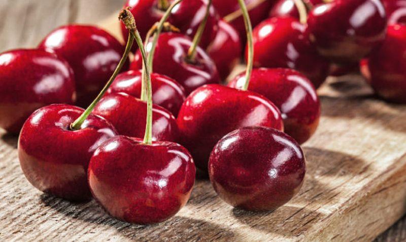 FEAST Vignola cherry Emilia